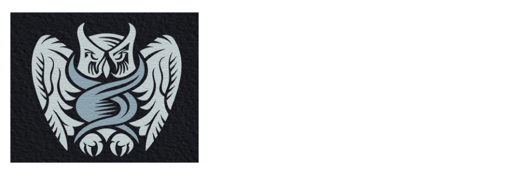AugMedy